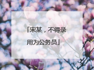 宋某，不得录用为公务员