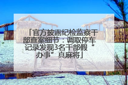 官方披露纪检监察干部查案细节：调取停车记录发现3名干部假“办事”真麻将