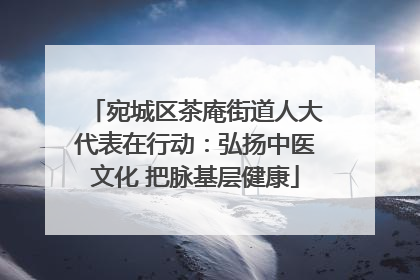 宛城区茶庵街道人大代表在行动：弘扬中医文化 把脉基层健康