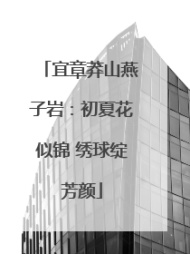 宜章莽山燕子岩：初夏花似锦 绣球绽芳颜