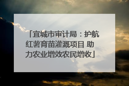 宜城市审计局：护航红薯育苗灌溉项目 助力农业增效农民增收
