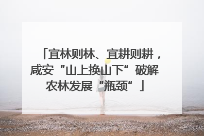宜林则林、宜耕则耕，咸安“山上换山下”破解农林发展“瓶颈”