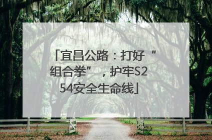 宜昌公路：打好“组合拳”，护牢S254安全生命线