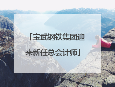 宝武钢铁集团迎来新任总会计师