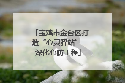 宝鸡市金台区打造“心灵驿站” 深化心防工程