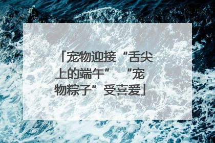 宠物迎接“舌尖上的端午” “宠物粽子”受喜爱