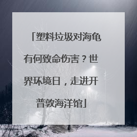 塑料垃圾对海龟有何致命伤害？世界环境日，走进开普敦海洋馆