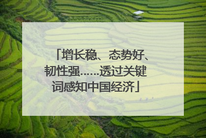 增长稳、态势好、韧性强……透过关键词感知中国经济