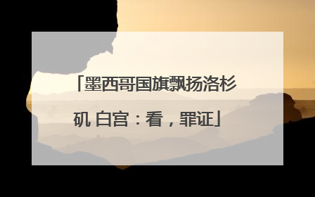 墨西哥国旗飘扬洛杉矶 白宫：看，罪证