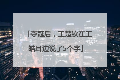 夺冠后，王楚钦在王皓耳边说了5个字