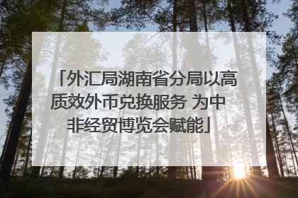 外汇局湖南省分局以高质效外币兑换服务 为中非经贸博览会赋能