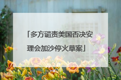 多方谴责美国否决安理会加沙停火草案