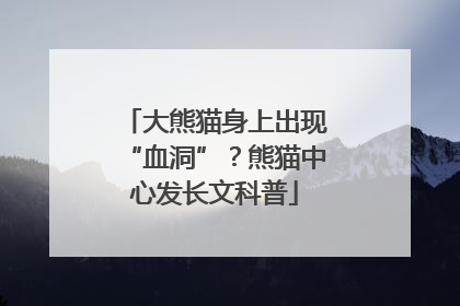 大熊猫身上出现“血洞”？熊猫中心发长文科普