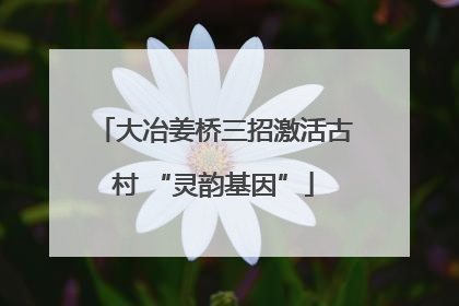 大冶姜桥三招激活古村 “灵韵基因”