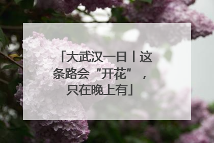大武汉一日丨这条路会“开花”，只在晚上有