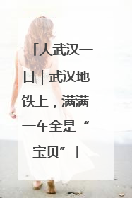 大武汉一日｜武汉地铁上，满满一车全是“宝贝”