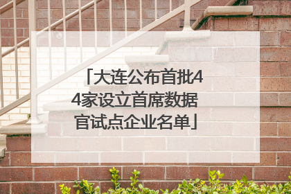 大连公布首批44家设立首席数据官试点企业名单