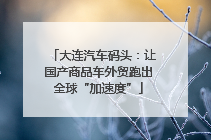 大连汽车码头：让国产商品车外贸跑出全球“加速度”