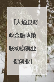 大通县财政金融政策联动稳就业促创业
