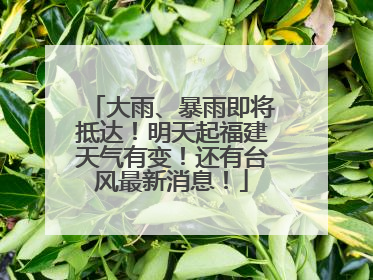 大雨、暴雨即将抵达！明天起福建天气有变！还有台风最新消息！