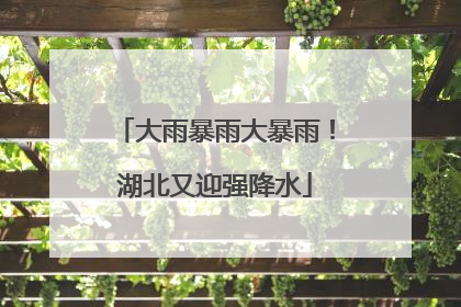 大雨暴雨大暴雨！湖北又迎强降水