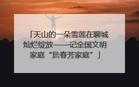 天山的一朵雪莲在聊城灿烂绽放——记全国文明家庭“詹春芳家庭”