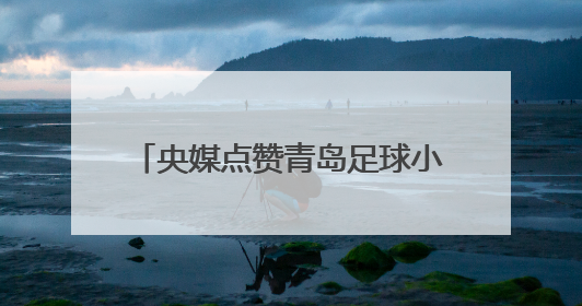 央媒点赞青岛足球小将：踢出最纯粹热爱