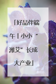 好品伴端午丨小小“潍艾”长成大产业