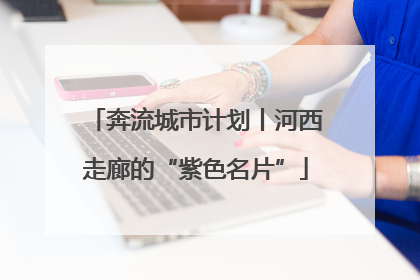 奔流城市计划丨河西走廊的“紫色名片”