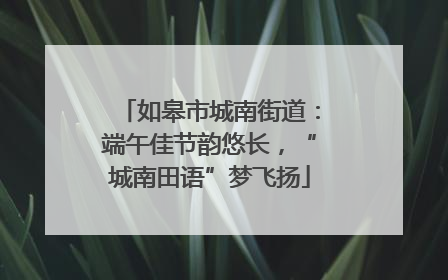 如皋市城南街道：端午佳节韵悠长，“城南田语”梦飞扬