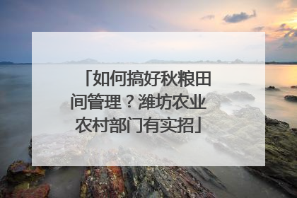 如何搞好秋粮田间管理？潍坊农业农村部门有实招