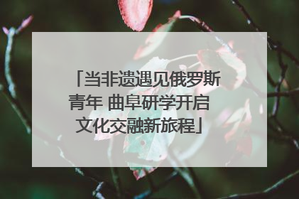 当非遗遇见俄罗斯青年 曲阜研学开启文化交融新旅程