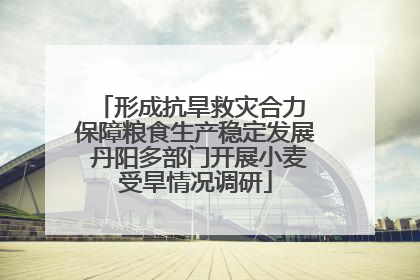 形成抗旱救灾合力 保障粮食生产稳定发展 丹阳多部门开展小麦受旱情况调研