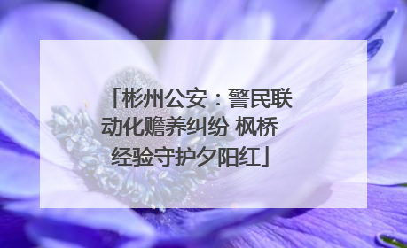 彬州公安：警民联动化赡养纠纷 枫桥经验守护夕阳红