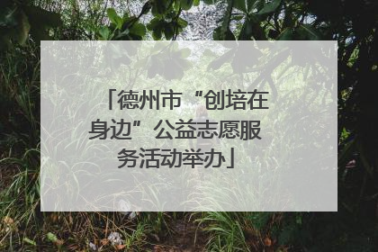 德州市“创培在身边”公益志愿服务活动举办