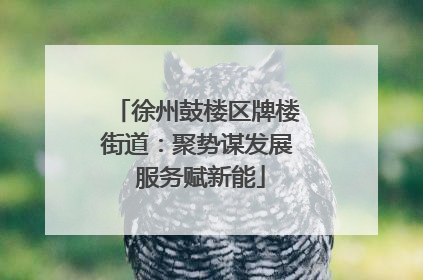 徐州鼓楼区牌楼街道：聚势谋发展 服务赋新能
