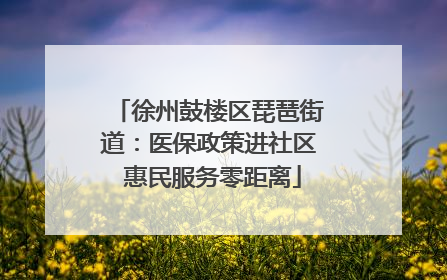 徐州鼓楼区琵琶街道：医保政策进社区 惠民服务零距离