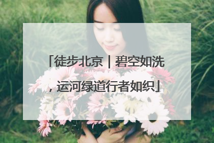 徒步北京｜碧空如洗，运河绿道行者如织