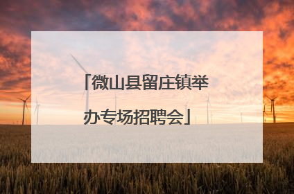 微山县留庄镇举办专场招聘会