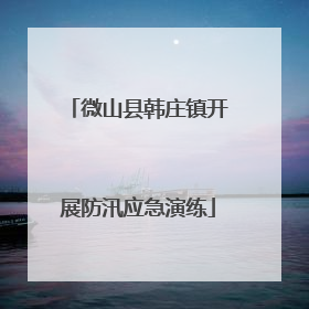 微山县韩庄镇开展防汛应急演练