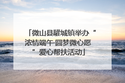 微山县驩城镇举办“浓情端午·圆梦微心愿”爱心帮扶活动