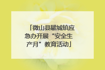微山县驩城镇应急办开展“安全生产月”教育活动