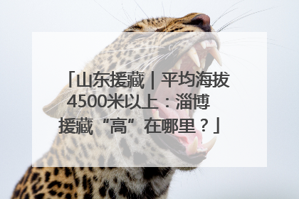 山东援藏｜平均海拔4500米以上：淄博援藏“高”在哪里？
