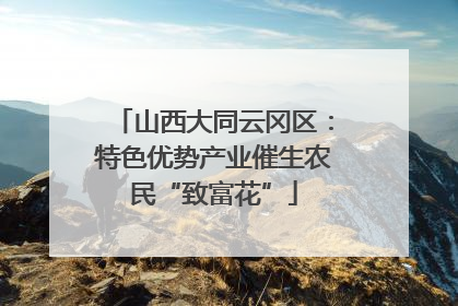 山西大同云冈区：特色优势产业催生农民“致富花”