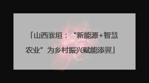 山西襄垣：“新能源+智慧农业”为乡村振兴赋能添翼