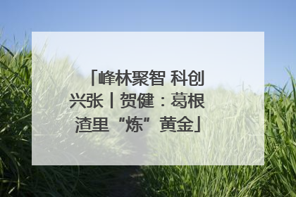 峰林聚智 科创兴张丨贺健：葛根渣里“炼”黄金