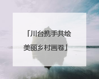 川台携手共绘美丽乡村画卷