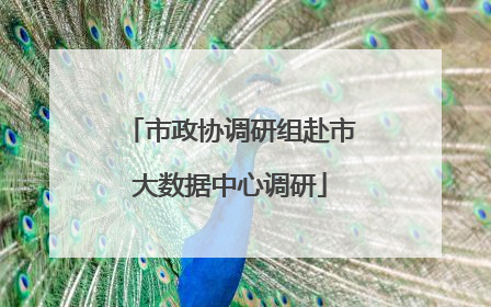 市政协调研组赴市大数据中心调研