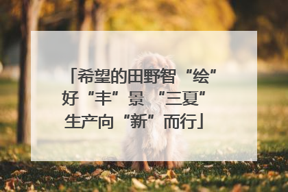 希望的田野智“绘”好“丰”景 “三夏”生产向“新”而行