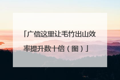 广信这里让毛竹出山效率提升数十倍（图）
